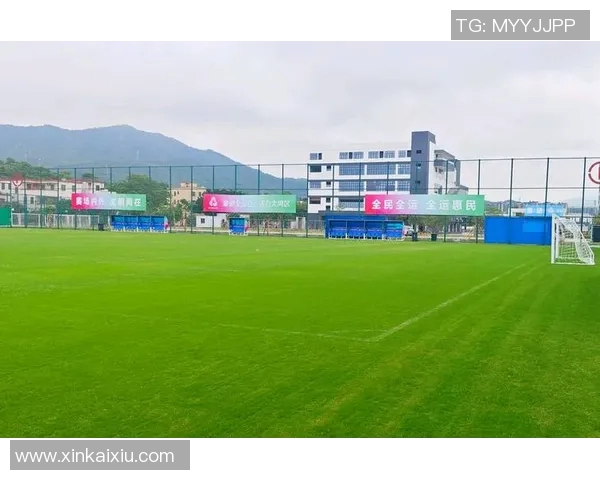 赵丽足球生涯回顾与展望：从绿茵场到人生新篇章